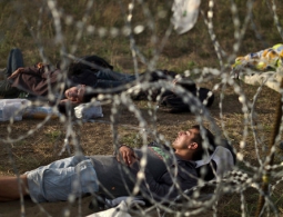 Венгрия ввела усиленный контроль границы с Сербией из-за мигрантов