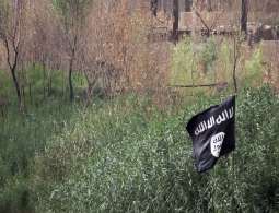 Боевики ДАИШ обезглавили футболистов в сирийской Ракке
