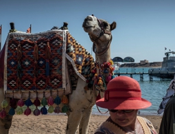 В РСТ сообщили, когда российских туристов пустят в Египет