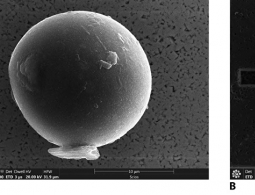 Российские физики создали "неразрушимые" наноалмазы