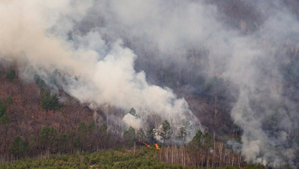 Площадь лесных пожаров в Бурятии за сутки выросла до 1,2 га