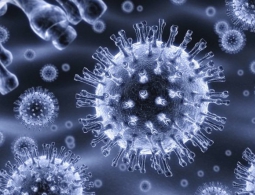 Ученые начали испытания по доставке лекарств с помощью наночастиц для лечения остеосаркомы