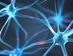 Стимуляция мозга током во сне улучшает память, доказали ученые