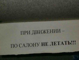 Жительница Брянска выдумала травму в маршрутке для получения страховки