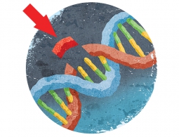 Большинство американцев пока не хотят становиться сверхлюдьми. А мы?