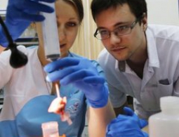 СМИ узнали о планах Минобрнауки уволить более 8 тысяч ученых