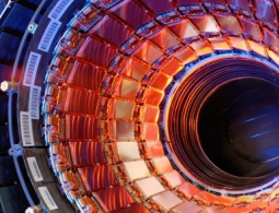 Физики выбрали лучшие теории на тему загадочной находки Большого адронного коллайдера