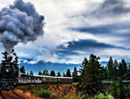 Превратит ли «искусственный лист» углекислый газ в топливо?