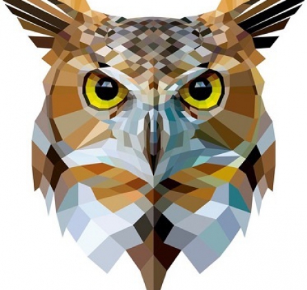 40 градусов лета