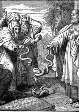 Посох Аарона