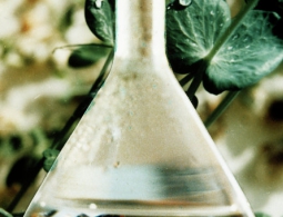 Физики научились "расщеплять" воду на водород и лак для ногтей