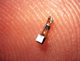 На кончике этого пальца находится наше будущее