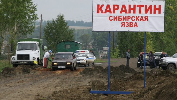 На Ямале уничтожили останки более двух тысяч оленей