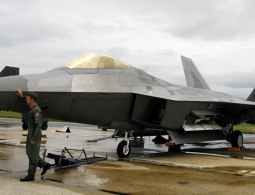 Пчелы приковали к земле американский истребитель F-22