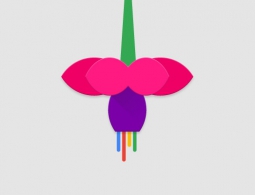 Google разрабатывает новую операционную систему Fuchsia