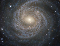 Физики заявили о возможном открытии пятой силы природы