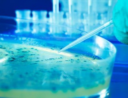 Легионы живых нанороботов научились точно поражать раковую опухоль