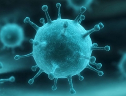 Ученые считают, что вирусы гораздо опаснее утром