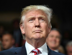 "Да что, черт возьми, вам терять?". Трамп обратился к афроамериканцам