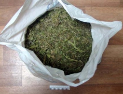 Брянского торговца марихуаной посадили на десять лет