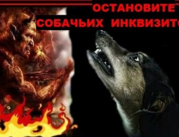 В Брянске требуют остановить массовые убийства бродячих собак