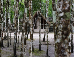 Математики раскрыли неожиданную тайну исчезновения цивилизации майя