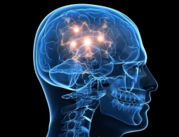 Врачи используют ультразвук, чтобы вывести человека из состояния комы