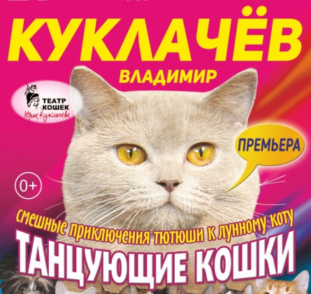 ТАНЦУЮЩИЕ КОШКИ (21 сентября 2016)