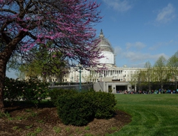 National Interest: США грозит дефицит бюджета в триллион долларов