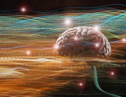 Делать бога из машины… не очень хорошо для людей