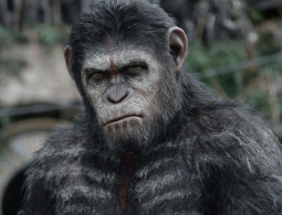 Война или мир: если бы все виды на Земле были разумными