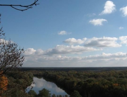 В Брянск пришло последнее летнее тепло