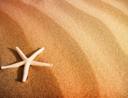 Поможет ли песок получить топливо из углекислого газа и солнечного света?