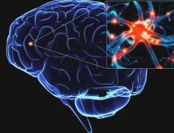 Болезнь Паркинсона смогут выявить задолго до появления симптомов