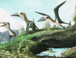 Учёные открыли новый вид миниатюрных крылатых динозавров