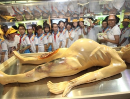 Ученый: "камарильи" пришельцев могут скрывать себя от землян