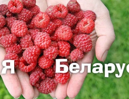 В Брянскую область не пустили полтонны подозрительной белорусской малины