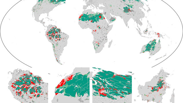 Ученые: Земля потеряла около 10% дикой природы за последние 25 лет