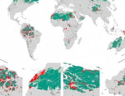 Ученые: Земля потеряла около 10% дикой природы за последние 25 лет