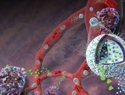 Ученые раскрыли противораковый секрет древнего китайского снадобья