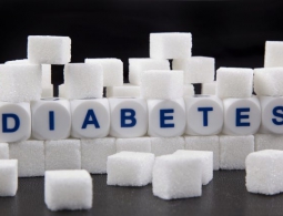 Пересадка клеток поджелудочной железы от свиней поможет победить диабет