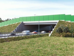 В России открылся первый переход для животных над дорогой