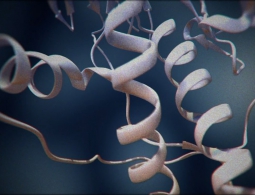 Изучена структура приона, вызывающего болезнь Крейтцфельдта — Якоба