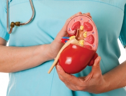 В Великобритании робот провел две операции по пересадке почек