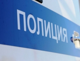 Жителя Жуковки наказали за оскорбление полицейских