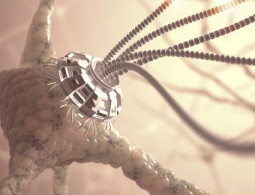 Нанороботы смогли доставить лекарства живым тараканам, повинуясь силе мысли