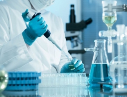 Ученые из России научились выращивать искусственные клетки