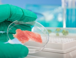 Искусственное мясо перевернет наш мир