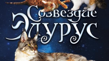 СОЗВЕЗДИЕ ЭЛУРУС -2016