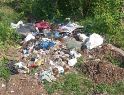 Брянских чиновников заставили убрать незаконную свалку